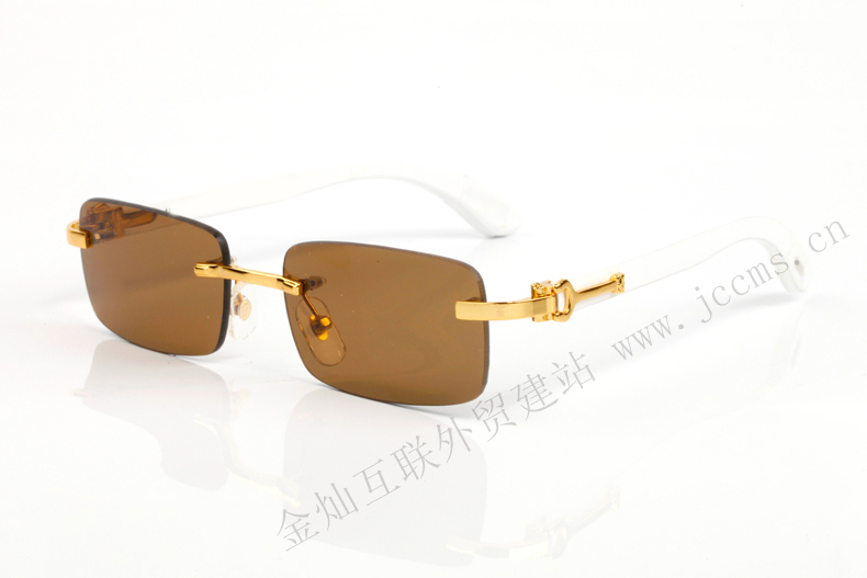 Gold Rimless Eyeglasses4