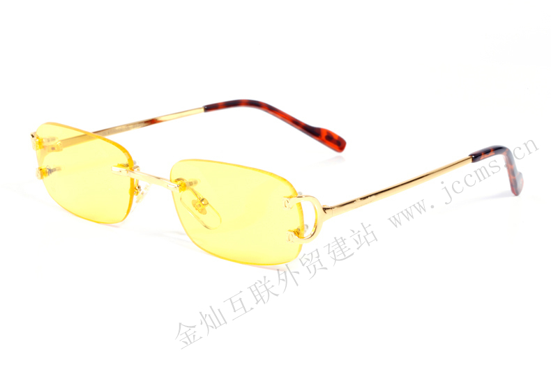 Gold Rimless Eyeglasses6